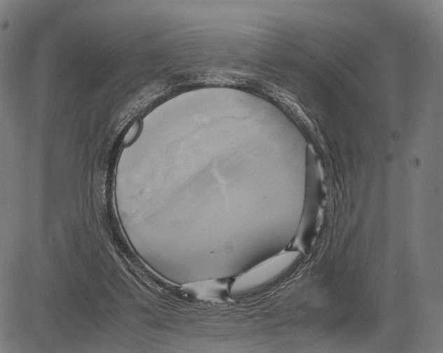 X0000083620299200703121635