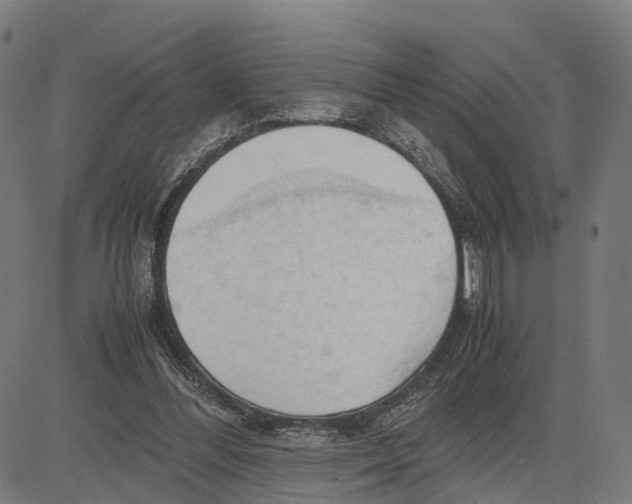 X0000083620300200703121635