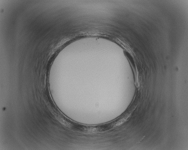 X0000083620301200703121635