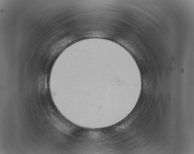 X0000083620302200703121635