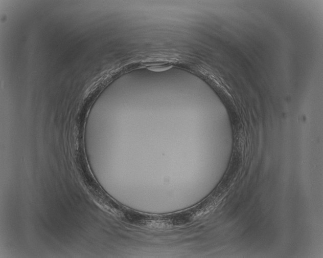 X0000083620303200703121635