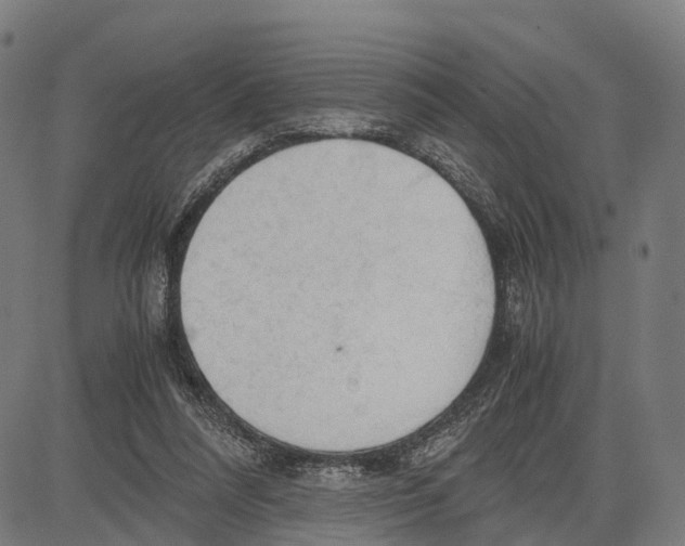 X0000083620304200703121635