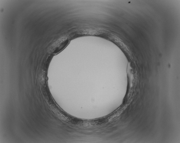 X0000083620305200703121635