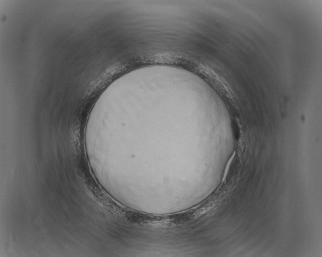 X0000083620306200703121635