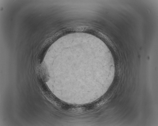 X0000083620307200703121635