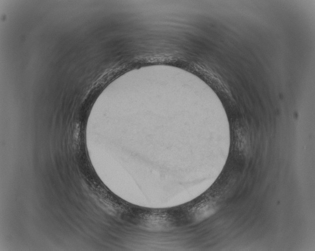 X0000083620308200703121635