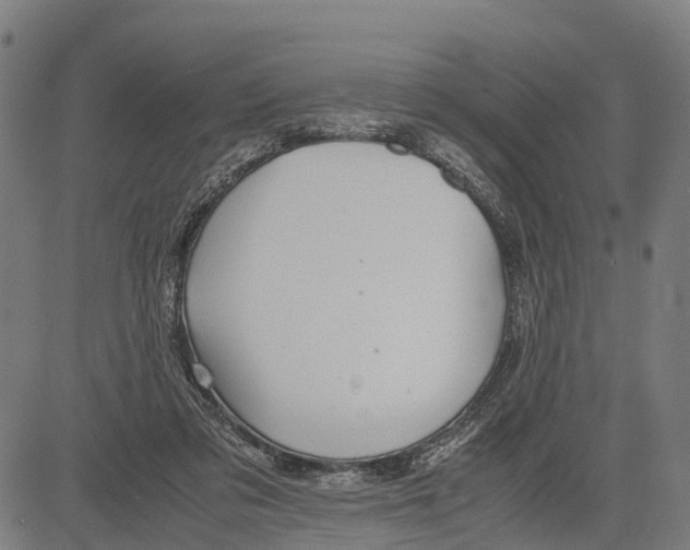 X0000083620309200703121635