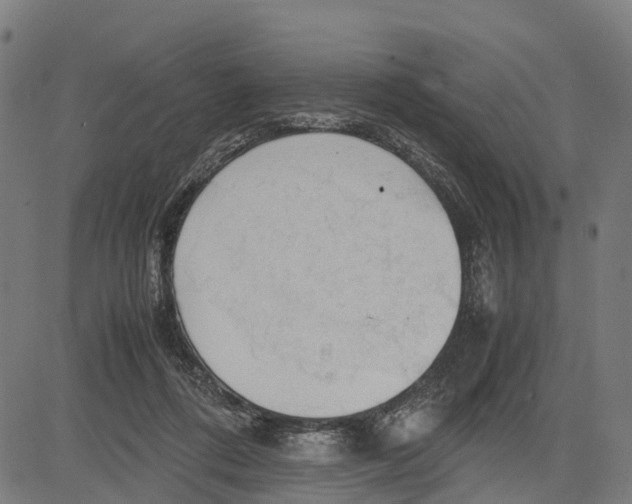 X0000083620312200703121635