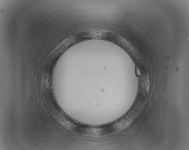 X0000083620313200703121635