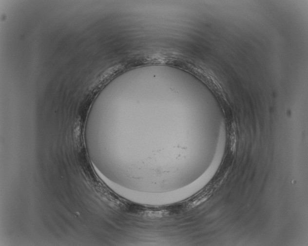 X0000083620314200703121635