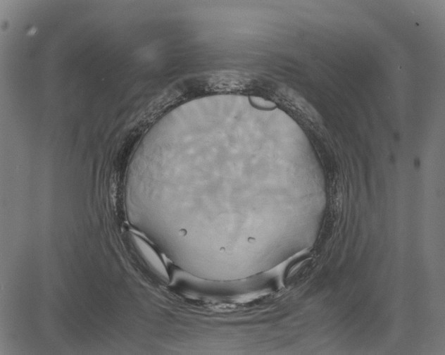 X0000083620315200703121635