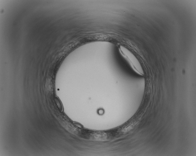 X0000083620317200703121635