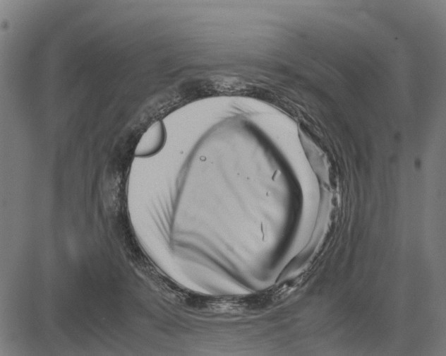 X0000083620319200703121635