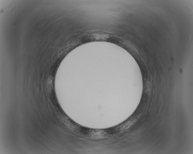 X0000083620321200703121635