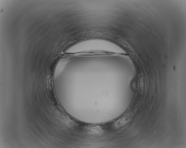 X0000083620322200703121635