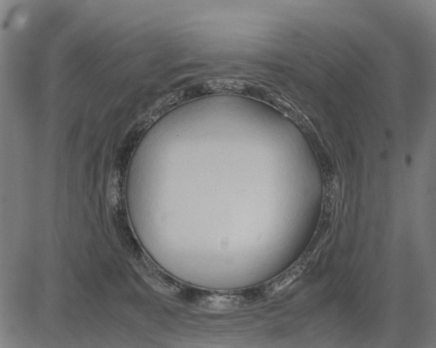 X0000083620323200703121635