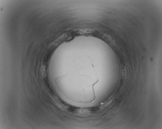 X0000083620327200703121635