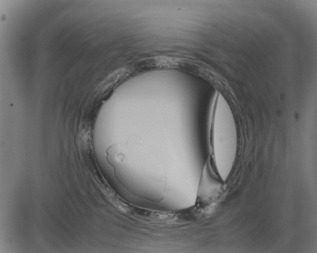 X0000083620329200703121635