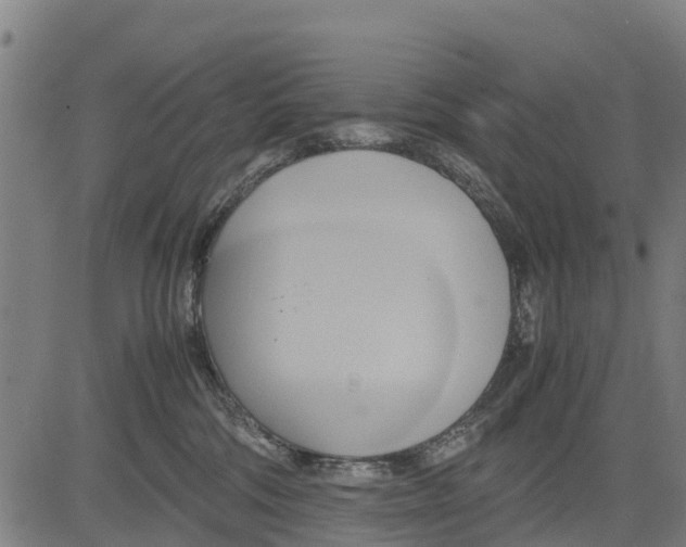 X0000083620330200703121635