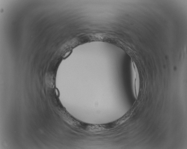 X0000083620331200703121635