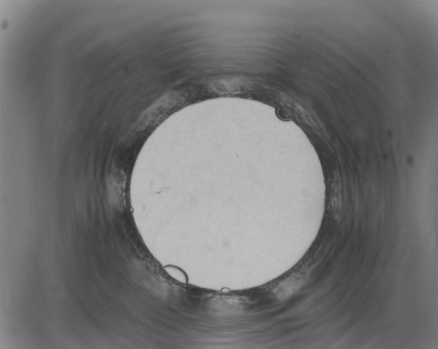 X0000083620332200703121635