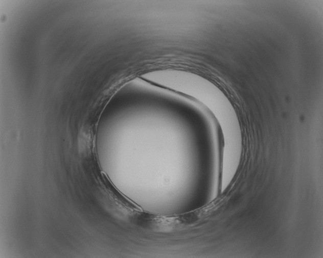 X0000083620333200703121635