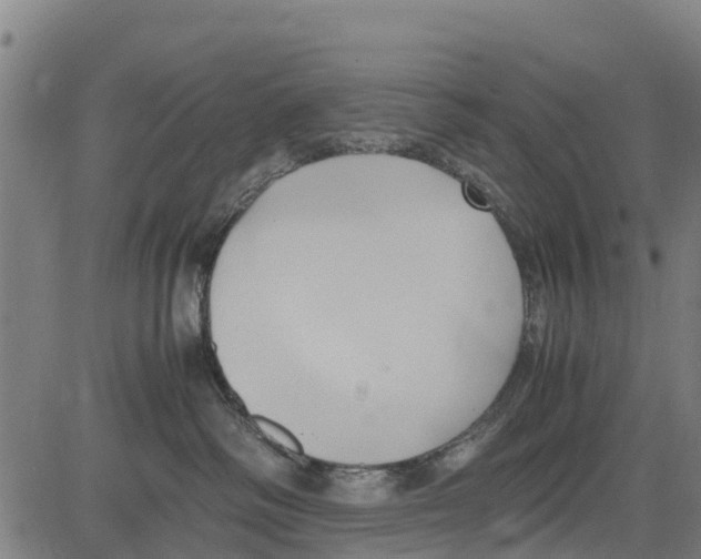 X0000083620334200703121635