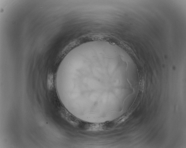 X0000083620335200703121635