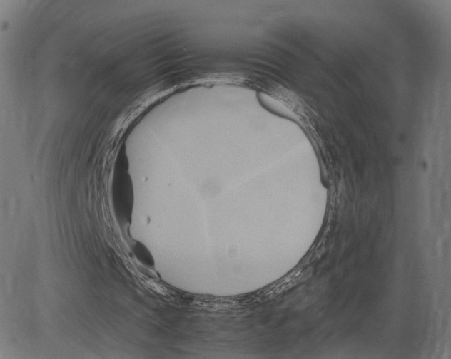 X0000083620337200703121634