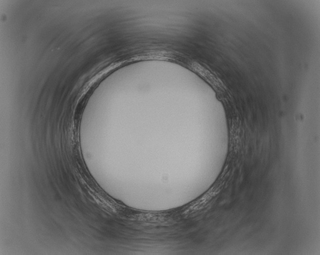 X0000083620338200703121634