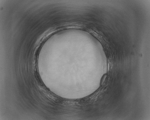 X0000083620339200703121634