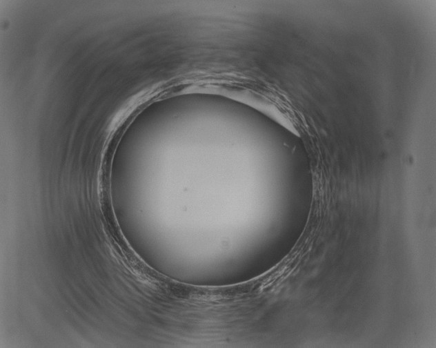 X0000083620340200703121634