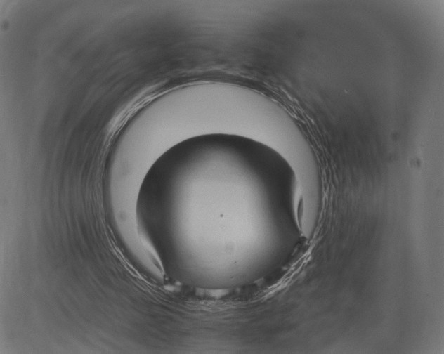 X0000083620341200703121634