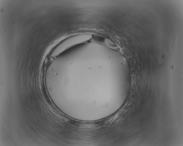 X0000083620342200703121634