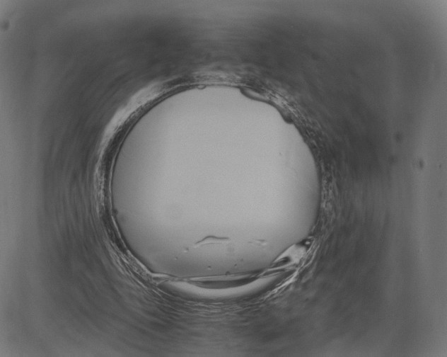 X0000083620343200703121634