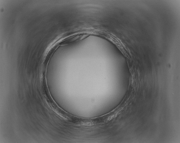 X0000083620344200703121634