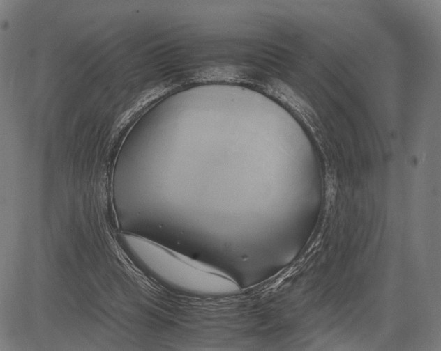 X0000083620345200703121634