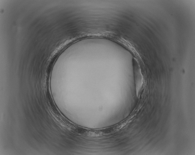 X0000083620346200703121634