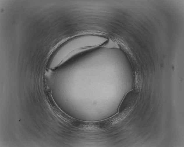 X0000083620348200703121634