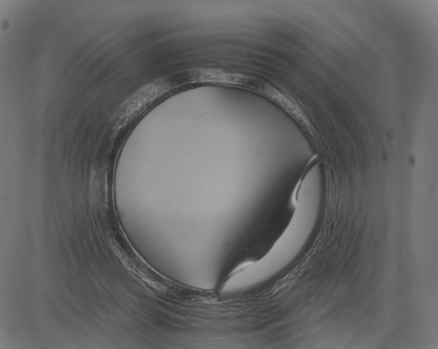 X0000083620349200703121634