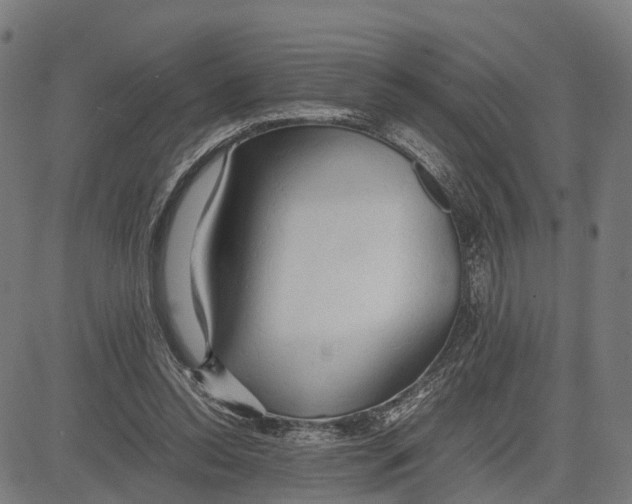 X0000083620350200703121634