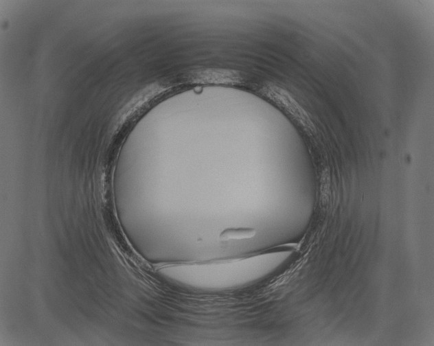 X0000083620351200703121634