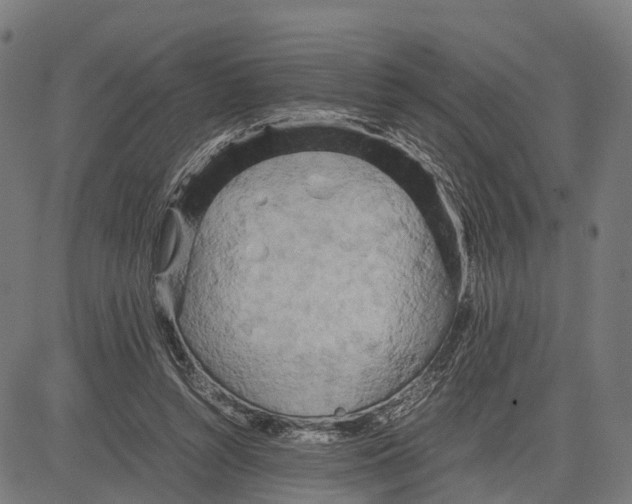 X0000083620352200703121634