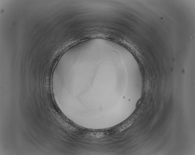 X0000083620353200703121634