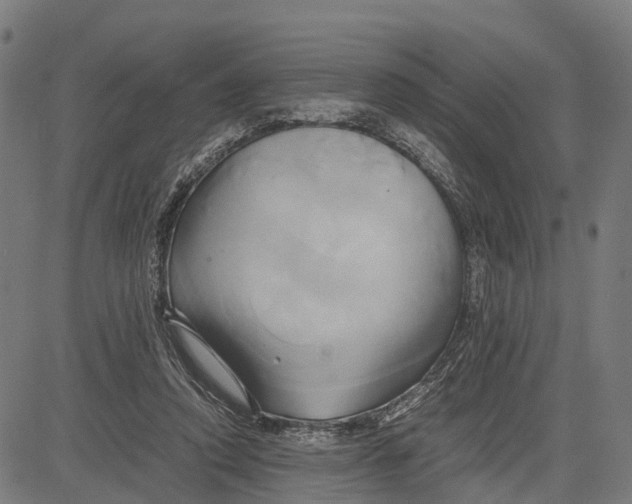 X0000083620354200703121634