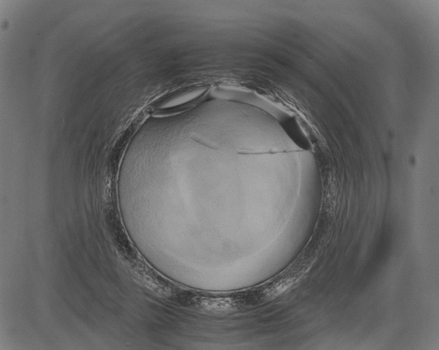 X0000083620355200703121634