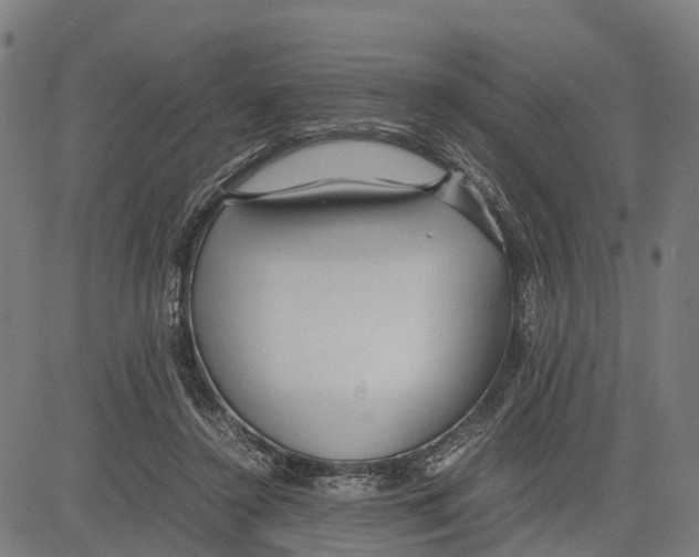 X0000083620356200703121634