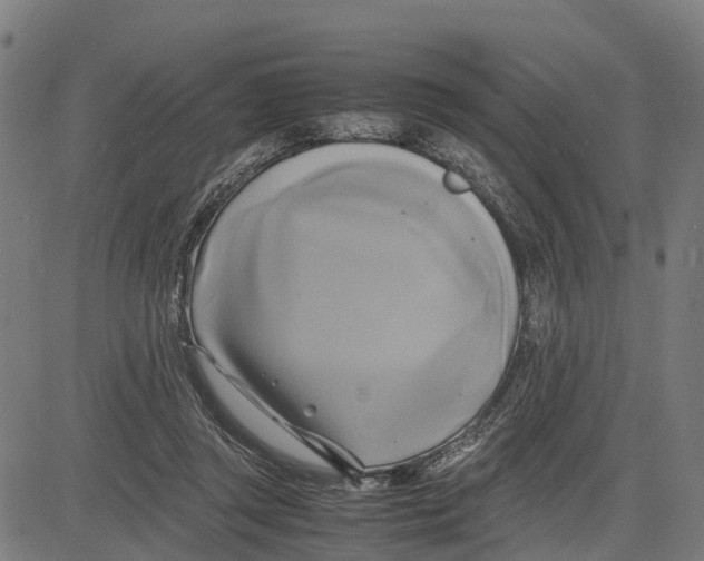 X0000083620357200703121634