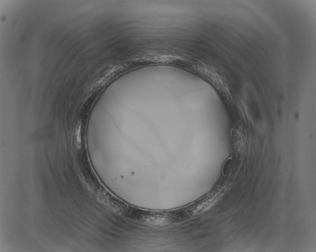 X0000083620358200703121634