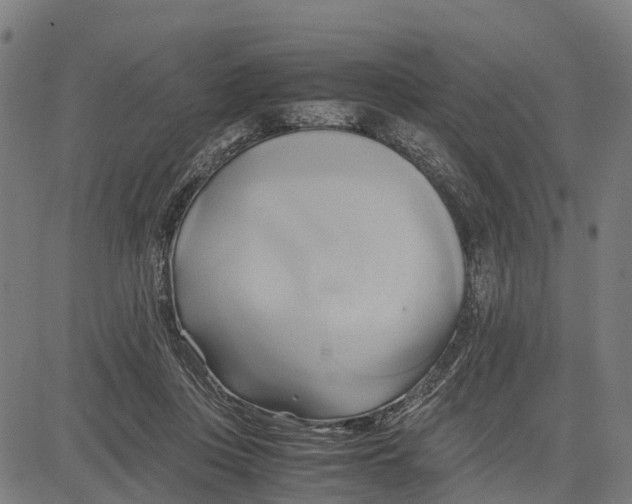 X0000083620359200703121634